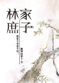(红楼同人)红楼之林家庶子