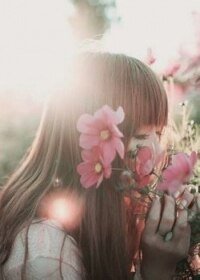 《(韓娛同人)韓娛之文豪駕到》