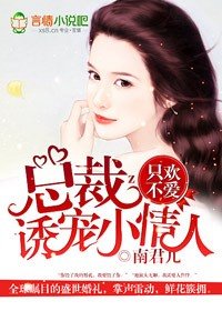 總裁的愛人/只歡不愛,總裁誘寵小愛人