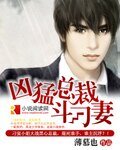 兇猛總裁鬥刁妻