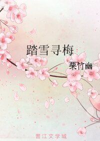 踏雪尋梅