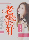暖婚蜜愛:老婆晚上好