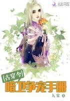 《暗衞爭寵手冊》