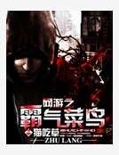 《網遊之霸氣菜莽》