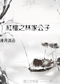 （紅樓同人）紅樓之林家公子