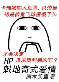 (HP同人) HP魁地奇式爱情