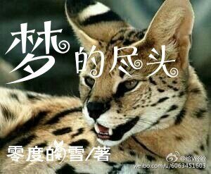 《貓武士夢的盡頭》