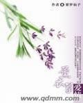 薰衣草愛情
