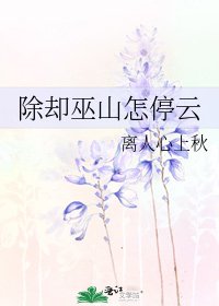 《除卻巫山怎停雲》