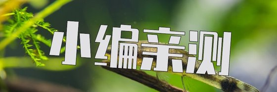 小編親測&推幾本自己看的書