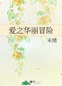 《愛之華麗冒險》