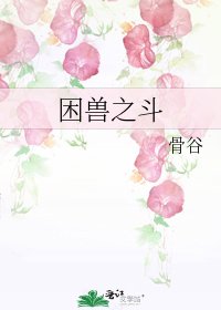 困獸之鬥