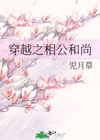 《穿越之相公和尚》