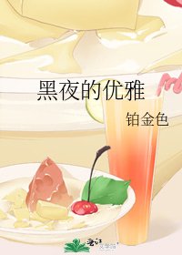 《黑夜的優雅》