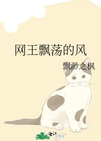 《網王飄蕩的風》