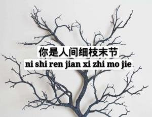 你是人間細枝末節