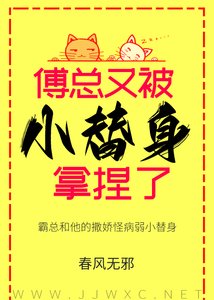 《傅總又被小替申拿聂了》