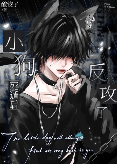 小狗死遁後反攻了