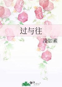 (黑花同人)过与往