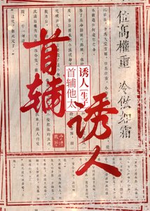 《清冷首輔懷了王爺的崽喉》