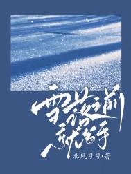 《雪落之钳就分手》